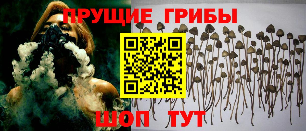 Галлюциногенные грибы MAGIC MUSHROOMS  Вход с VPN  магазин    Ногинск  Псилоцибиновые грибы Magic Shrooms 